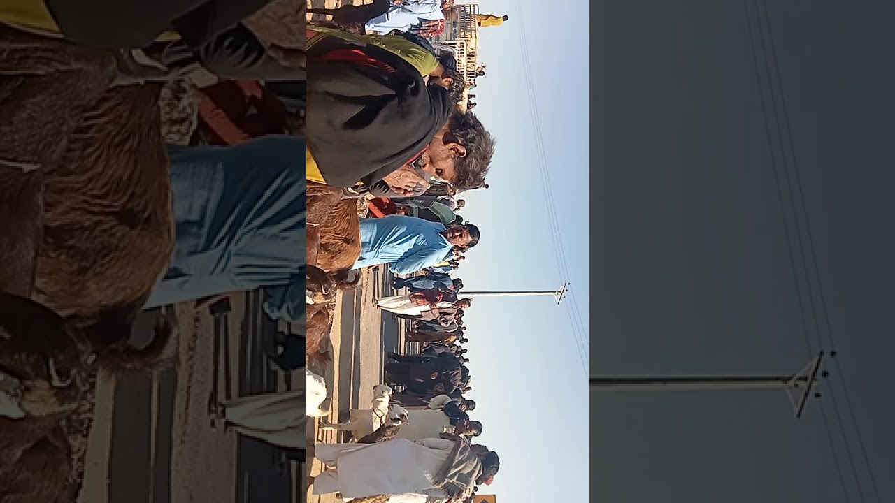 Please subscribe 🙏🙏🙏🙏🙏