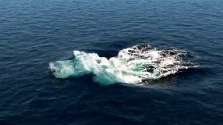 PhoenixFD OCEAN