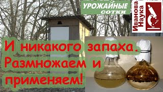 ДАРМОВОЕ домашнее средство от запаха в ТУАЛЕТЕ! Размножаем и применяем!