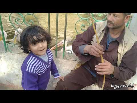 حديقة حيوان الجيزة جولة شاملة مع الشرح كأنك زرتها 