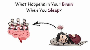 What Happens in Your Brain When You Sleep?