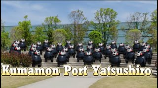 Kumamoto Kumamon Port Yatsushiro
