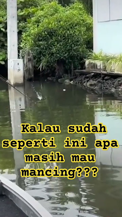 buaya muncul saat mancing #viral #shorts #tiktok