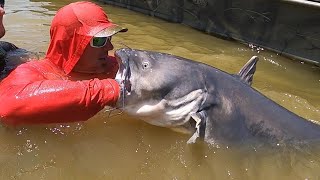 GIANT BLUE CATFISH Catch Clean and Cook