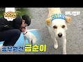 이개 자기도 공무원이라고 칼퇴하는 거 좀 보세요.. ㅣ Civil Servant Doggo Strictly Observes 9-To-6 Working Hours