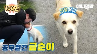 이개 자기도 공무원이라고 칼퇴하는 거 좀 보세요.. ㅣ Civil Servant Doggo Strictly Observes 9-To-6 Working Hours