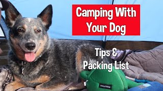 Camping With Your Dog ~ Tips & Packing List ~