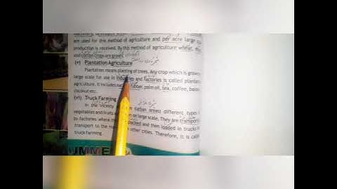 Class 7 Geography Agriculture Part 2