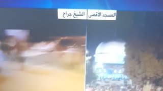 فلسطين مباشر(خيا القدس بقلبنا)شاهد البث المباشر