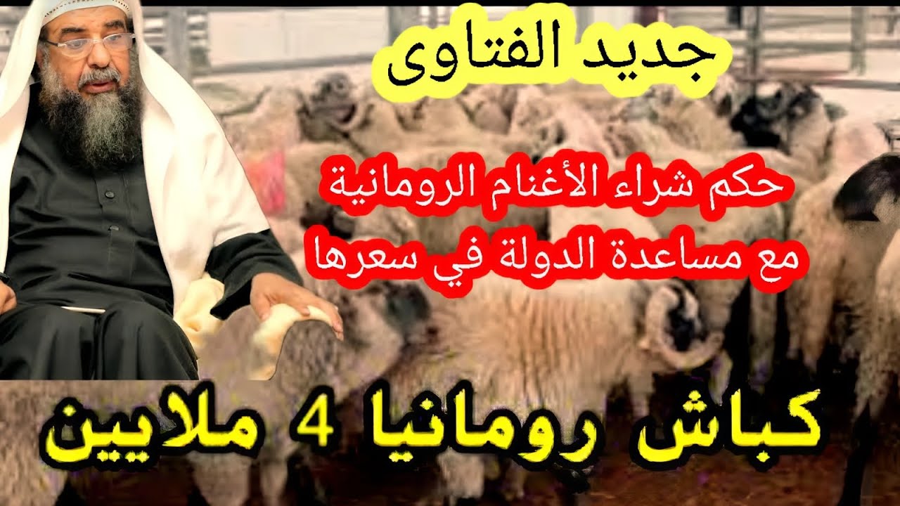 جديد حكم شراء الخروف الروماني المدعم من الدولة ورده إن كان فيه عيب الشيخ سليمان الرحيلي حفظه الله