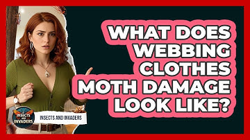 What Does Webbing Clothes Moth Damage Look Like? - Insects and Invaders