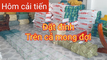 Cung cấp 12 cửa ngục -  lú Thái Lan Dòng hôm cải tiến đúng là hiệu quả