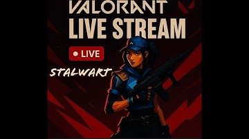 Chill Time or Serious Dedication? | MystBloom Vandal 2.0 |Face-Cam