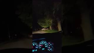 Chevy slip yoke issue
