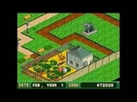 Zoo Tycoon DS Game