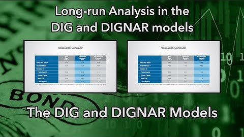 Long run Analysis in the DIG and DIGNAR models