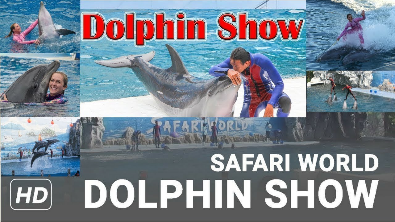 DOLPHIN SHOW - Safari World Bangkok