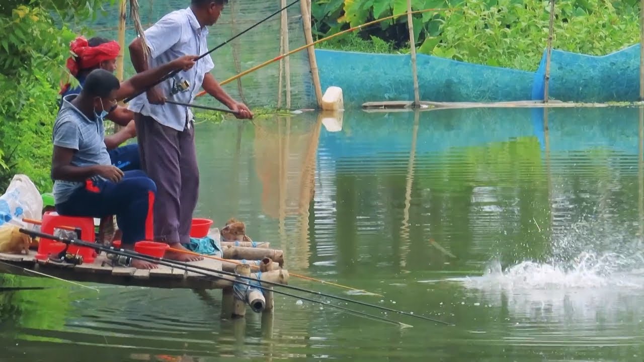 Best Village Fish Hunting Videos By The Village Anglers YouTube