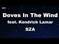 Doves In The Wind ft. Kendrick Lamar - SZA Karaoke 【No Guide Melody】 Instrumental