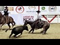 NCHA - The Sport of Cutting Horses