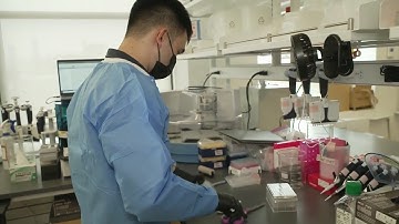 Multiple cases of omicron virus variant detected in NYC