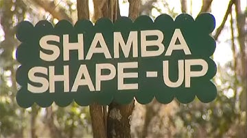 Shamba Shape Up Clips - Fodder Shrubs