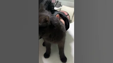 Бенчик…🥺