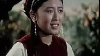 五朵金花---Five Golden Flowers---中国老电影