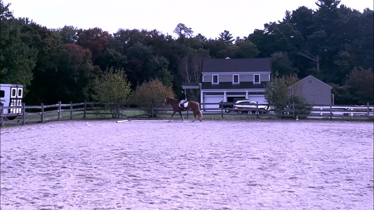 Caroline Kilduff Nikita AA USDF Introductory Level B Test YouTube