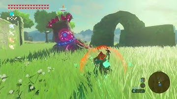 Daruks’s perfect parry (first try)