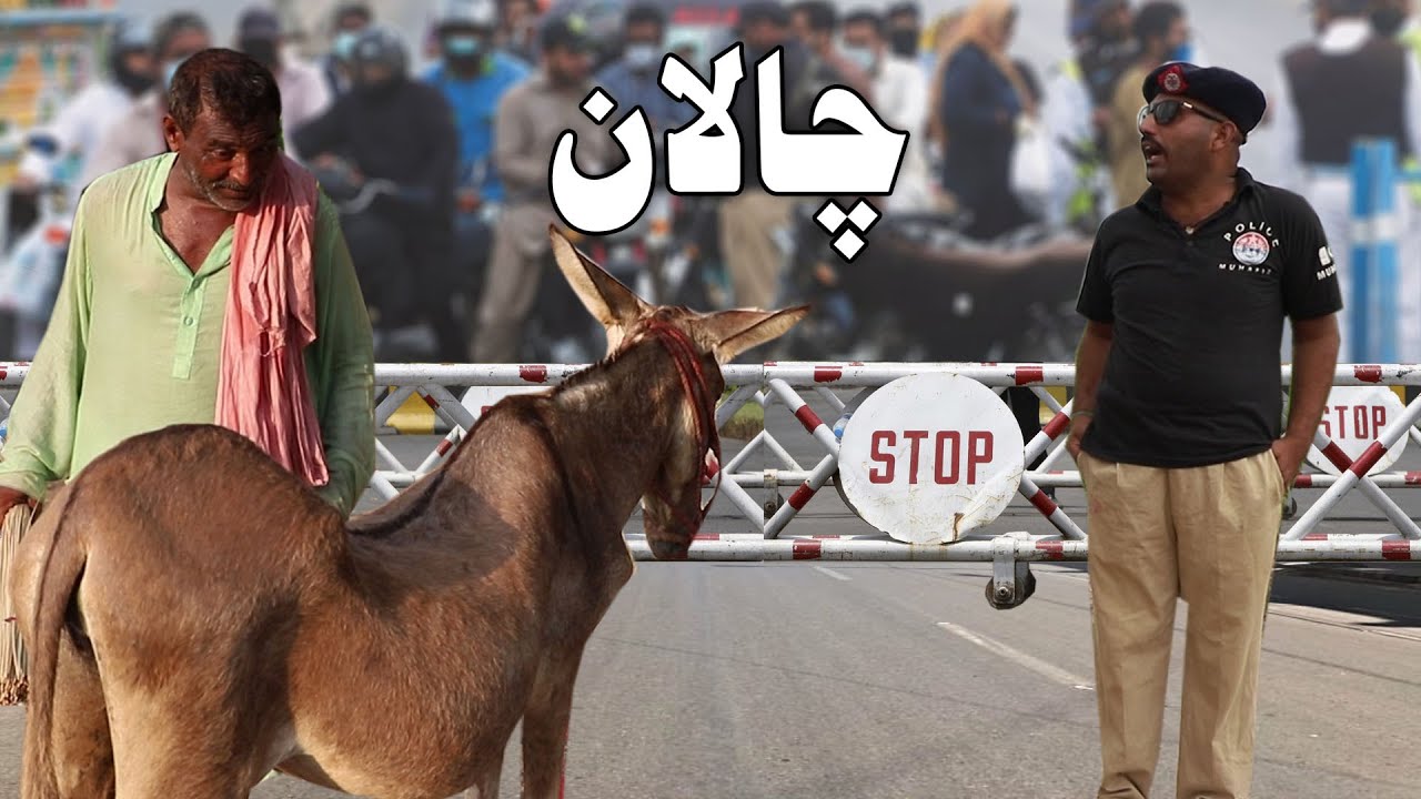 Chalan |Police Naka | Double Sawari | Airport  New Punjabi Comedy | Funny Video 2020 | Chal TV