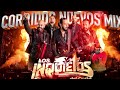 Puros Éxitos Perrones de Los Inquietos Del Norte 🎸 Para La Peda con la Plebada