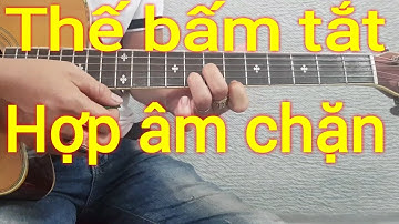 Thế bấm tắt của hợp âm chặn | Điêu Chương