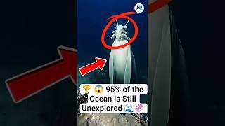🏆 😱 95% of the Ocean Is Still Unexplored 🌊🦑 #Shorts #facts #ocean #shortvideo #viral #amazingfacts