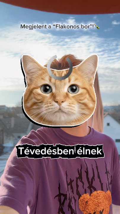 “A tv-ben a szenny megy…” #magyar