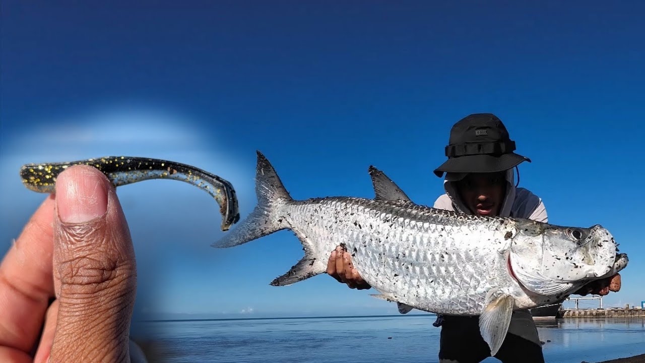 TARPON FISHING WITH MICRO LURES - YouTube