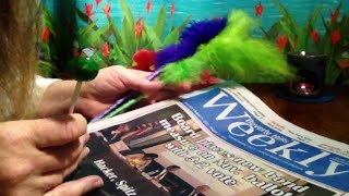 Beverly Hills Weekly, Browsing Headlines, Ads, Classified, Soft Spoken ASMR, Tootsie Roll Pop Beverly Hills Weekly, Browsing Headlines, Ads, Classified, Soft Spoken ASMR, Tootsie Roll Pop