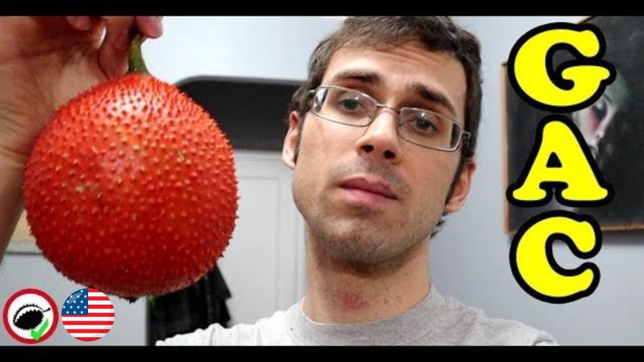Download GAC FRUIT : How to COOK and EAT it! - Weird Fruit Explorer Ep. 345