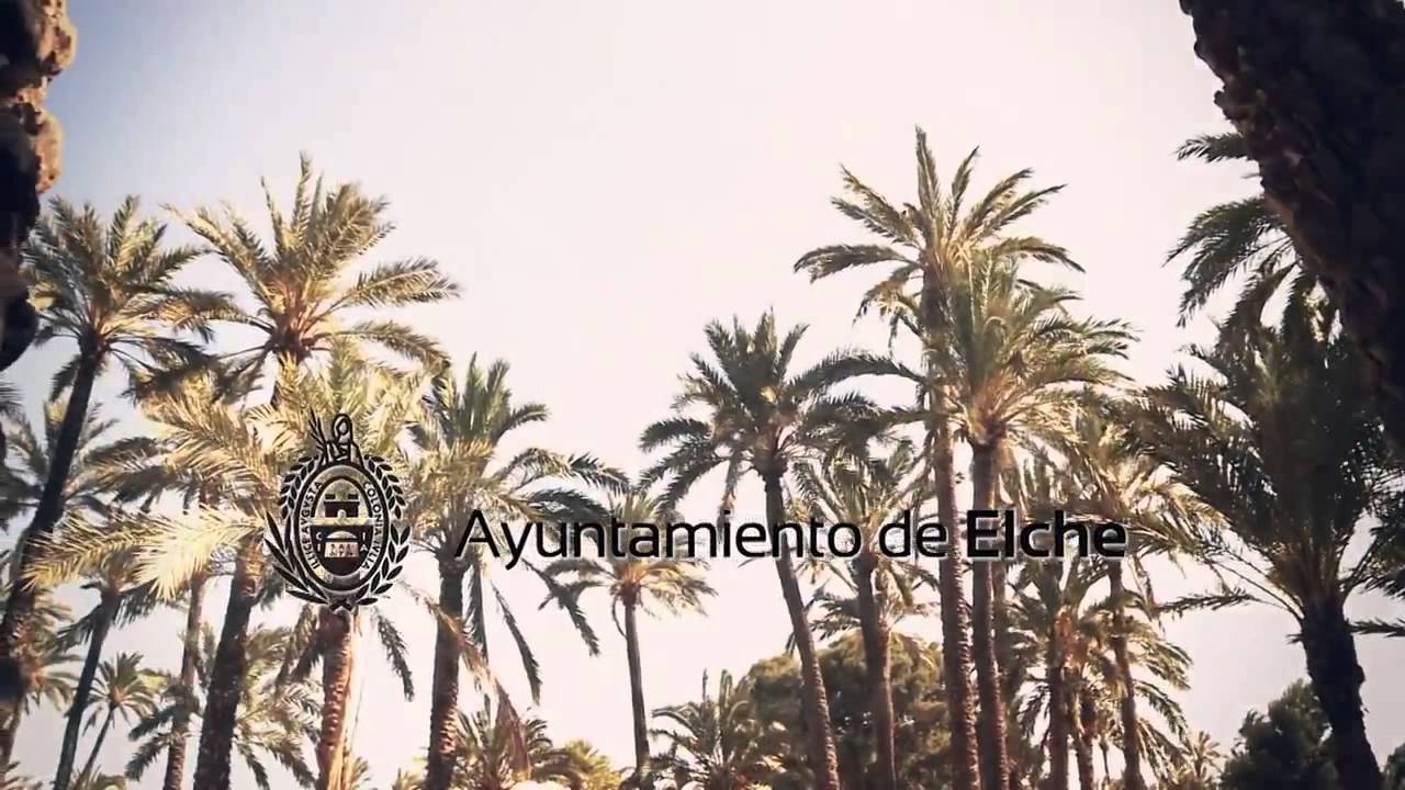 The Institute "Center of Operations Research" (CIO)