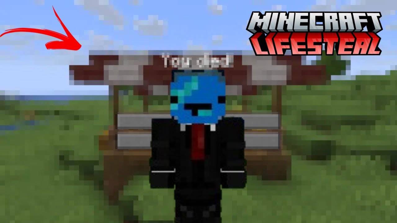Mi-am facut un stand pe Minecraft LifeSteal DAR asta s-a intamplat...