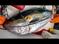 Giant bluefin tuna fishing but everything goes wrong commercial tuna fishing