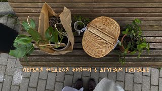 влог : переезд в другой город, поиск квартиры и начало ремонта