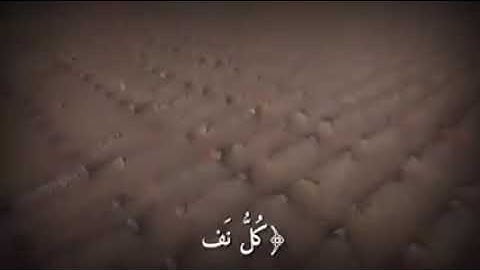 و ما الحياة الدنيا إلا متاع الغرور... تلاوة جميلة #12