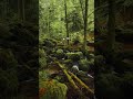 "I Found a Place That Doesn't Look Real… This Changed Everything"