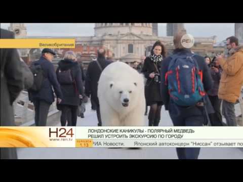 Гигантский медведь спустился в метро в центре Лондона