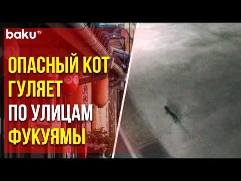 В японском городе