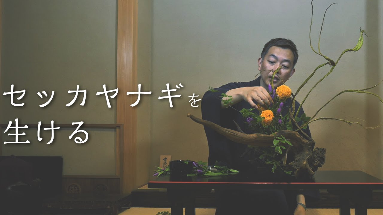 Introducing a wild petrified willow flower arrangement [Ikebana