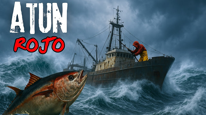 PESCA EXTREMA: Así atraparon un ATÚN ROJO de 450 kg - DOCUMENTAL