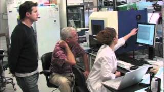 Decoding a Cancer Genome