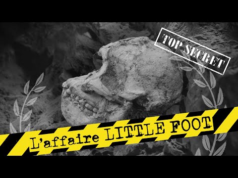 L'affaire Little Foot | #BA2Sc #15